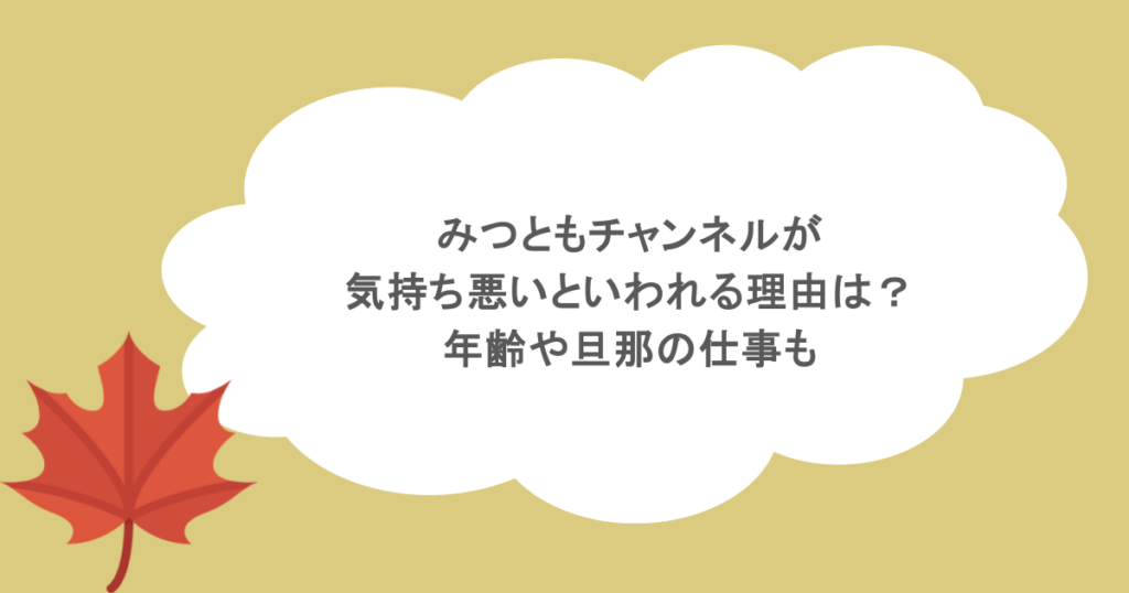 みつともチャンネルが気持ち悪いといわれる理由は?年齢や旦那の仕事も